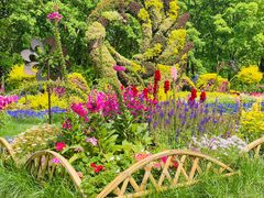 -上海共青森林公园