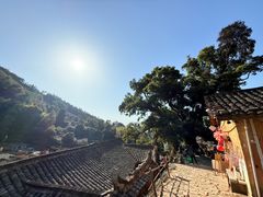 -杨家堂村