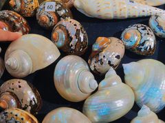 -摩登百货(岗顶店)