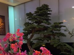 -太平洋PACIFIC SPA•奢睿水疗(万象城店)