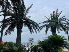-碧海银沙景区
