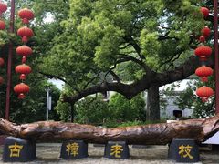 -新安江山水画廊风景区