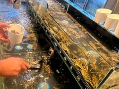 -星伦多自助料理·涮烤一体(江桥万达店)