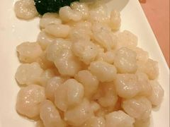 -席家花园(巨鹿花园店)