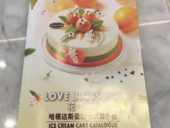 -哈根达斯(赛特奥莱店)