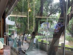 -探窝·竹笙椰子鸡(杨箕店)