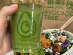 -油梨树AVOCADO TREE(望京店)
