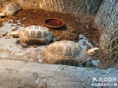 -南昌海洋公园