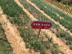 -小凉帽之家酒店(甘坑古镇店)