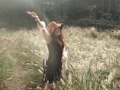 -宁波浙东大竹海景区
