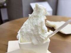-野人先生现做冰淇淋(北京悠唐购物中心店)