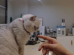 -Oasis绿洲银饰珍珠手作diy(壹方城店)