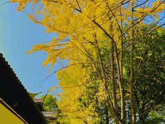 -西园戒幢律寺