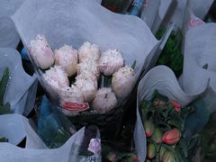 -循礼门鲜花花市(武汉循礼门店)