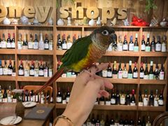 -Money Shops(愚园路店)