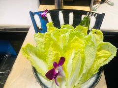 -新草堂锅物料理(泉城路店)