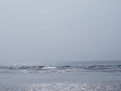 -日照海滨国家森林公园