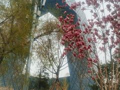 -中央广播电视总台(光华路办公区)