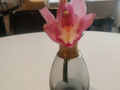 -华尔道夫酒店·鸢尾宫1893(金鱼胡同店)