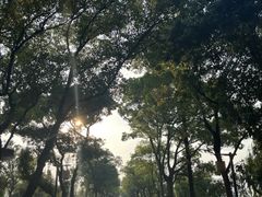 -东钱湖小普陀景区