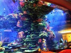 -迪拜帆船酒店海底餐厅