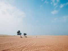 -迪拜沙漠冲沙