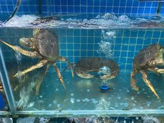 -三亚相缘海鲜·烧烤·糟粕醋(三亚湾店)