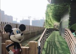 点击看大图 -可可天空农场(中大店)