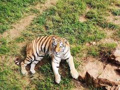 -西霞口神雕山野生动物世界
