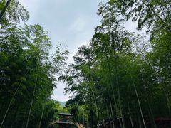 -陶祖圣境风景区