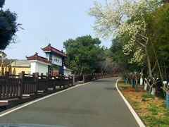 -游子山休闲旅游区