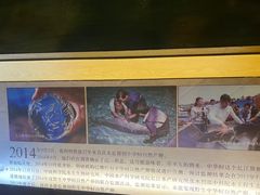 -洛阳龙门海洋馆