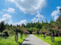 -东平国家森林公园