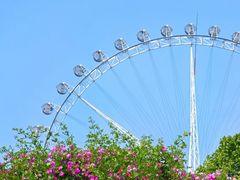 -石家庄市植物园