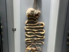 -生命奥秘博物馆