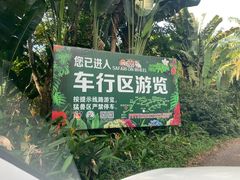 -海南热带野生动植物园