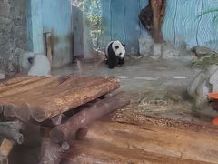 -海南热带野生动植物园