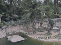 -深圳野生动物园