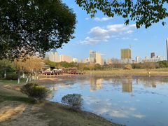 -艾溪湖湿地公园