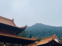 -深圳仙湖植物园