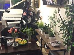 -圣典成人钢琴俱乐部(国贸旗舰校区)