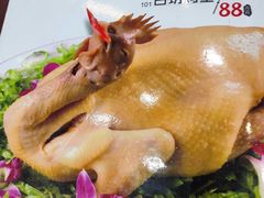 菜单-瑞记湛江鸡饭店·粤西第一鸡(粤垦店)