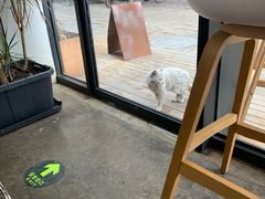 -铁手珈琲制造局metalhands(望京店)