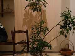 -风吟仟茶(河街店)