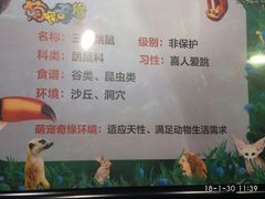 -萌宠奇缘