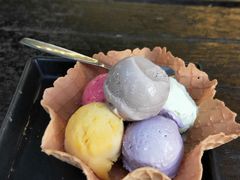 -莓园冰淇淋店