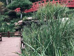 -大连植物园