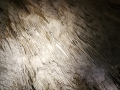 -怀托摩萤火虫洞