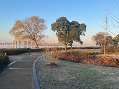 -苏州金鸡湖大酒店