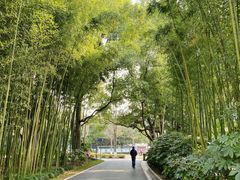 -苏州河梦清园环保主题公园